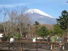 富士山周辺ドライブ旅①