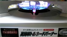 我が家にもついに