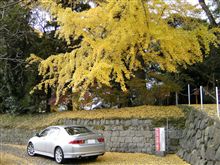 近所の神社