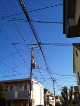 快晴の日曜日はやっぱり静かに。。。(￣∇￣;)ハッハッハ