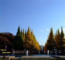 神宮外苑いちょう祭り