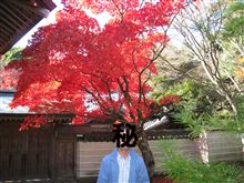1本だけ、見所でした。