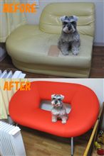 New Sofa ♪ New Sofa ♪