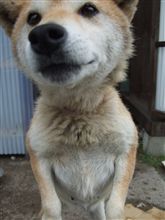 残り1ヶ月！今年中にやっておきたいこと！