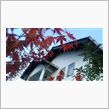 今でも紅葉が見られる場所！