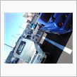 ワイルドなblue？