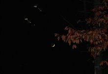 惑星＆衛星　夜空には。。。