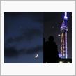 残念ながら今夜は拝めず