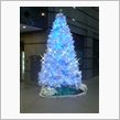 今日のクリスマスツリー