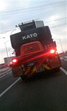 本日も発見!!しまつた 本日も発見!!しまつた