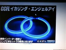 この一年での進化・・・