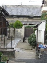 厳しい季節がやってきた