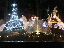 上野公園のイルミネーションです。