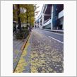 ど、道路が黄色い・・・・・