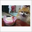 たまに犬ネタ