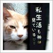 щ(ﾟﾛﾟщ) ｵｰﾏｲｶﾞ ...