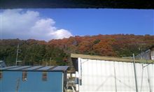 自宅裏山＾＾