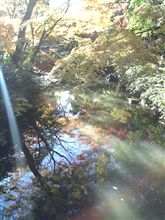 最後の・・・・・