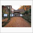 名残の紅葉