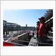 日産応援団 Nｼﾞｬﾝ的ｴﾋﾟｿｰﾄﾞ　08 NISMO FESTIVAL　#20