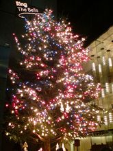 ミキモト本店ジャンボクリスマスツリー