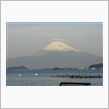 ヤラレタ・・・（涙