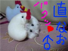 直（なお♂）も急逝 (T T) 【訃報】