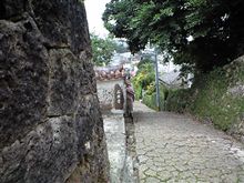 私の散歩道♪