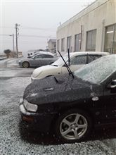 雪が…♪