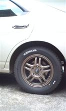 ホワイトレター? ホワイトレター?
