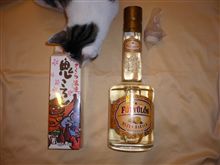 こりゃ～飲み切れんよ♪