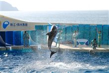 江ノ島水族館