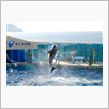 江ノ島水族館