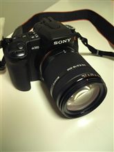・・・・買っちゃった！！！(衝動的に・・・・)