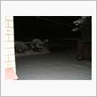 久しぶりの雪