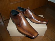 買っちまった靴