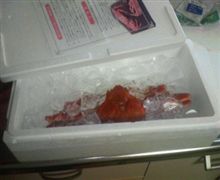 今年も　カニ　が　きたーーーーっ(^o^)