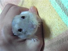 元気です。