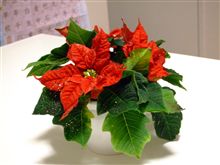今年も頂きました。貴重な!?