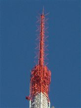 あなどれない実力