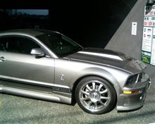 ELEANOR GT500E