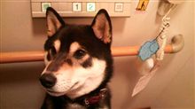 立派になったなぁ