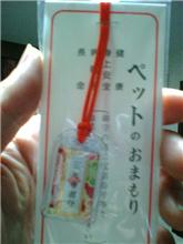 はっ、初めて見た【おまもり】(^ ^)v