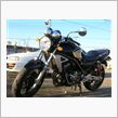 カワサキはオトコのバイクさ。