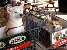 ご無沙汰してます
