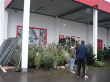 クリスマスツリー販売増。