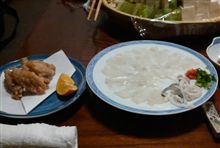 今日は天然フグで忘年会☆