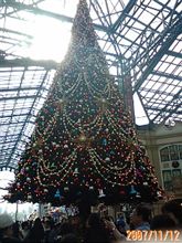 ちぃと早めのクリスマス♪