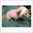 NEW...バージョン②