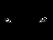 リング・マーカー交換